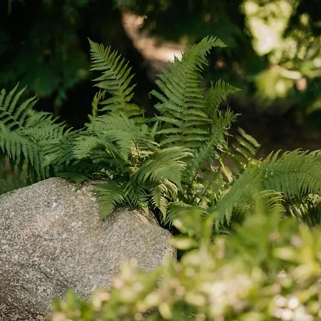 L'ao & Restaurant L'aigle D'or Отель 3*