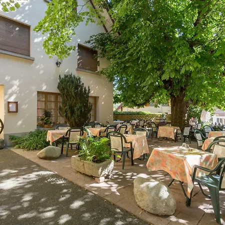 L'ao & Restaurant L'aigle D'or Отель 3*