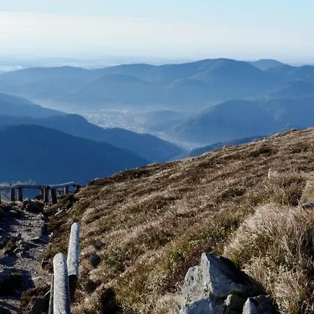Otel L'ao & Restaurant L'aigle D'or Rimbach-près-Guebwiller