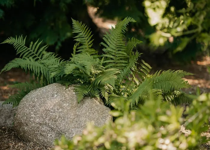 L'ao & Restaurant L'aigle D'or Hotel 3*