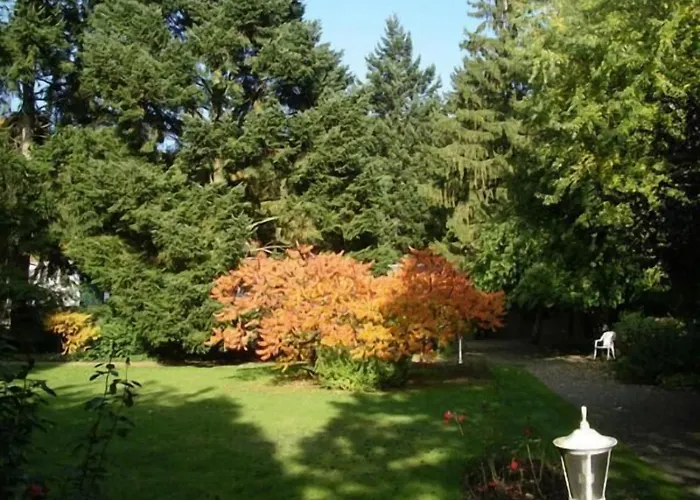 L'ao & Restaurant L'aigle D'or 3*