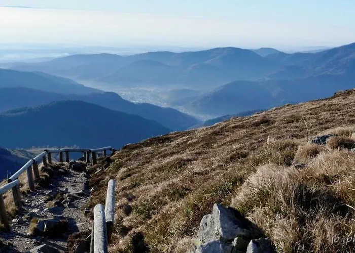 Hotel L'ao & Restaurant L'aigle D'or Rimbach-près-Guebwiller